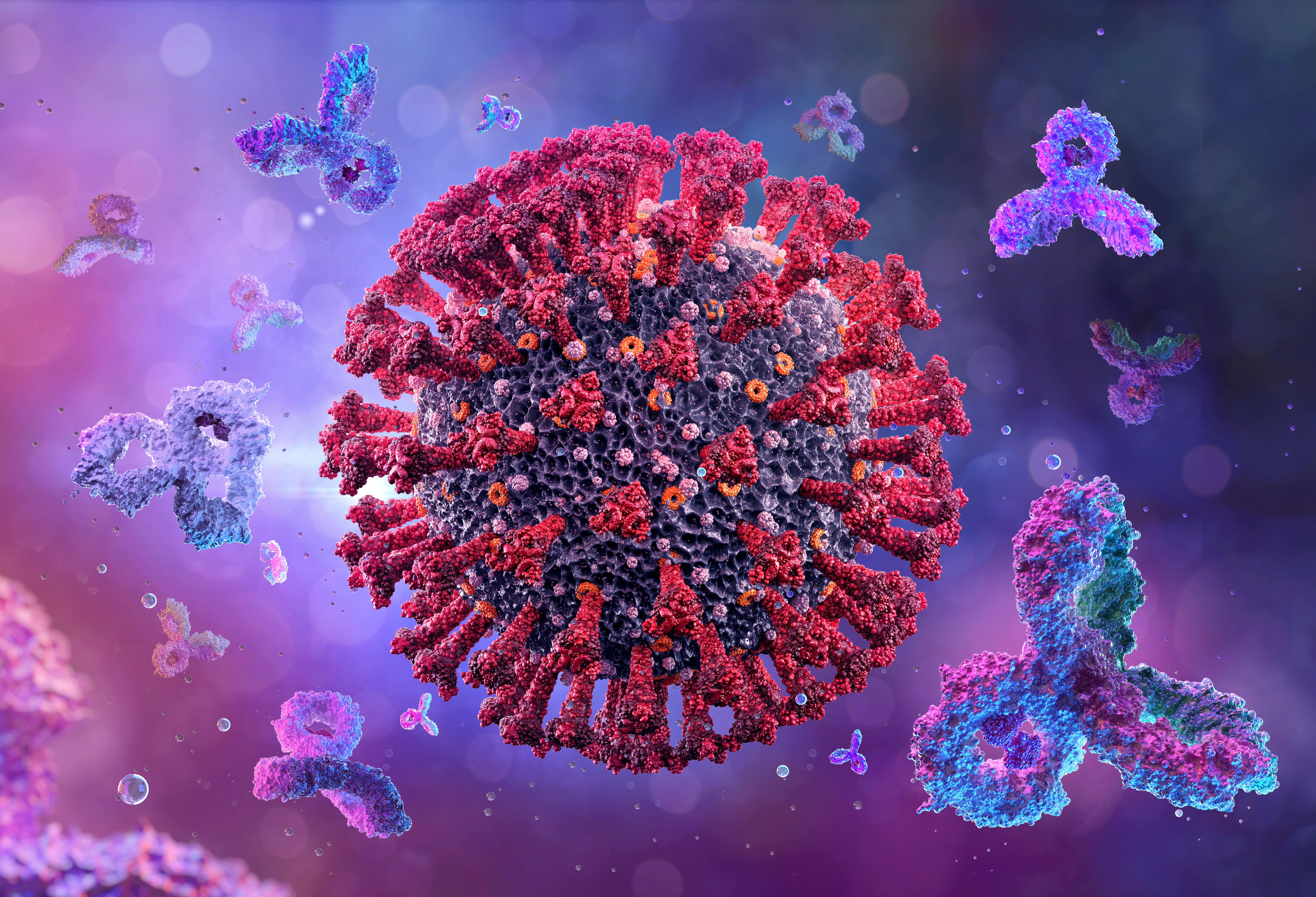 Антитела иммунной системы. Коронавирус клетка. Вирус SARS-cov-2. Клетка вируса коронавируса. Т-клетки иммунной системы и антитела.